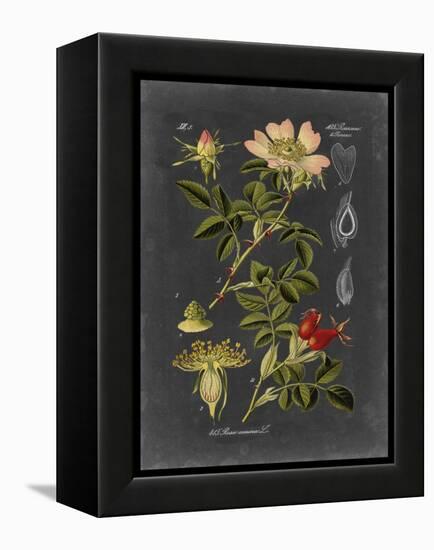 Midnight Botanical I-Vision Studio-Framed Stretched Canvas