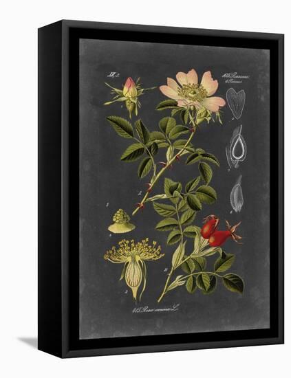Midnight Botanical I-Vision Studio-Framed Stretched Canvas
