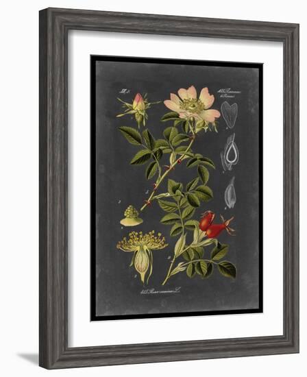 Midnight Botanical I-Vision Studio-Framed Art Print