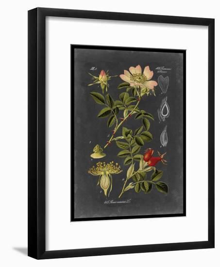 Midnight Botanical I-Vision Studio-Framed Art Print