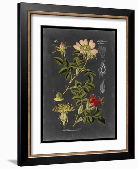 Midnight Botanical I-Vision Studio-Framed Art Print