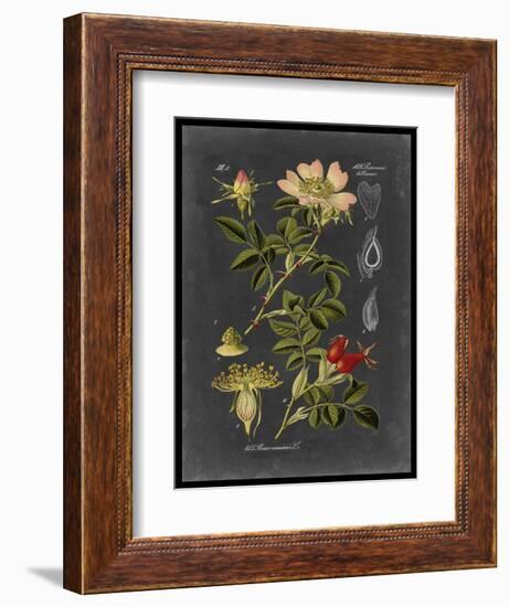 Midnight Botanical I-Vision Studio-Framed Art Print