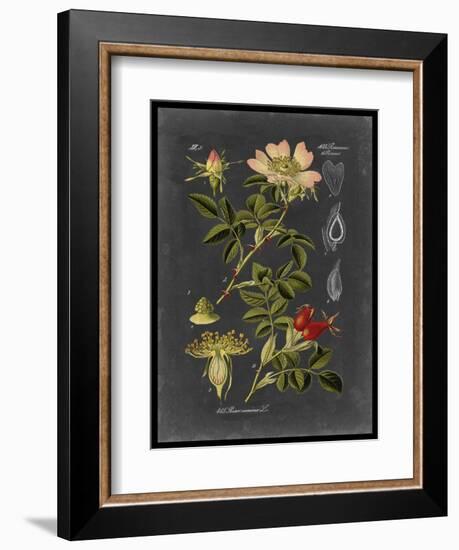 Midnight Botanical I-Vision Studio-Framed Art Print