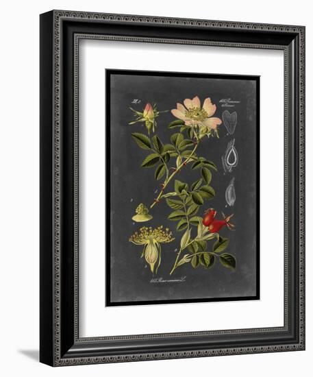 Midnight Botanical I-Vision Studio-Framed Art Print