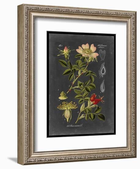 Midnight Botanical I-Vision Studio-Framed Premium Giclee Print