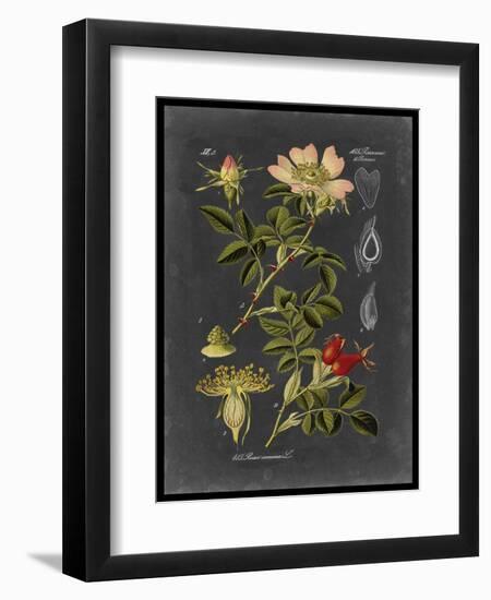Midnight Botanical I-Vision Studio-Framed Premium Giclee Print