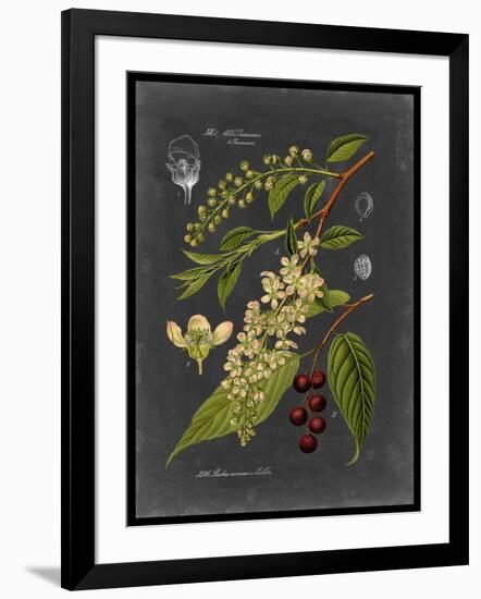 Midnight Botanical II-Vision Studio-Framed Art Print