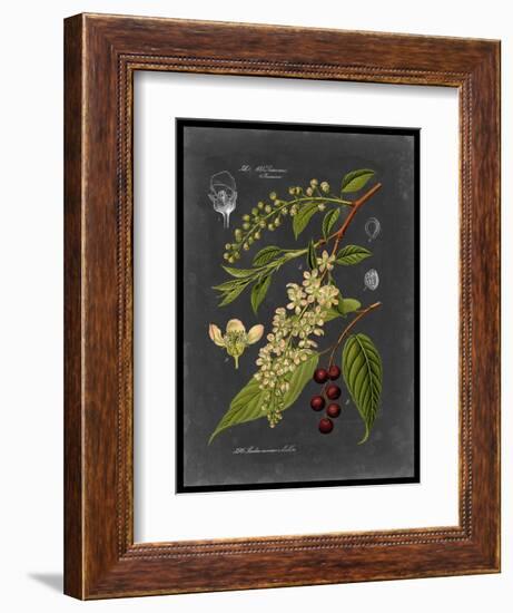 Midnight Botanical II-Vision Studio-Framed Art Print