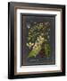 Midnight Botanical II-Vision Studio-Framed Art Print