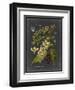 Midnight Botanical II-Vision Studio-Framed Art Print