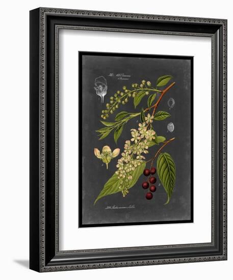 Midnight Botanical II-Vision Studio-Framed Art Print