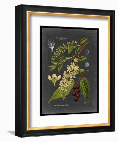 Midnight Botanical II-Vision Studio-Framed Art Print