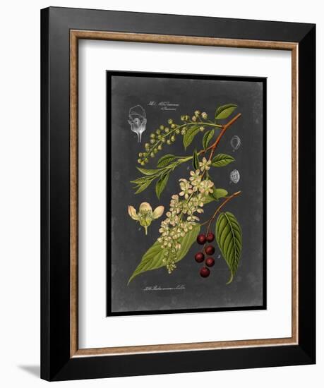 Midnight Botanical II-Vision Studio-Framed Premium Giclee Print