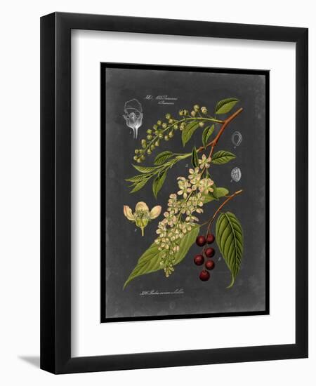 Midnight Botanical II-Vision Studio-Framed Premium Giclee Print