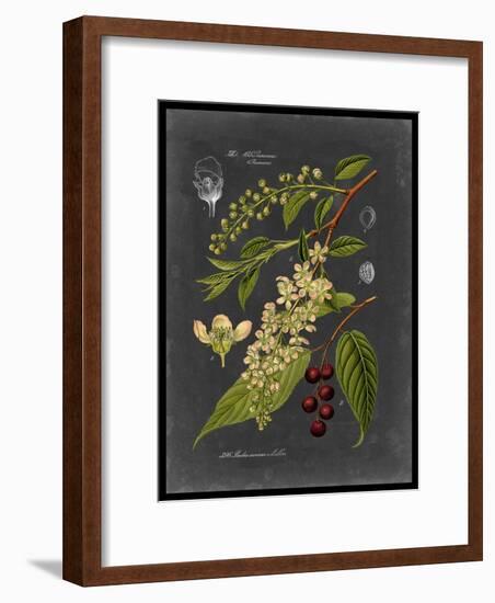 Midnight Botanical II-Vision Studio-Framed Premium Giclee Print