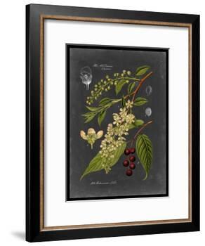 Midnight Botanical II-Vision Studio-Framed Art Print