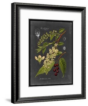 Midnight Botanical II-Vision Studio-Framed Art Print