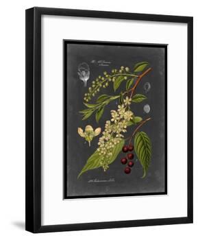 Midnight Botanical II-Vision Studio-Framed Art Print