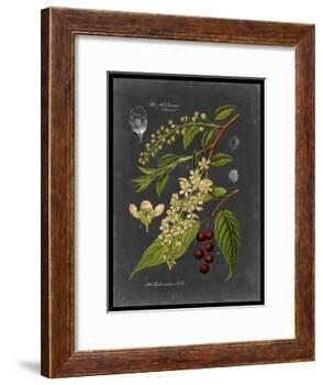 Midnight Botanical II-Vision Studio-Framed Art Print