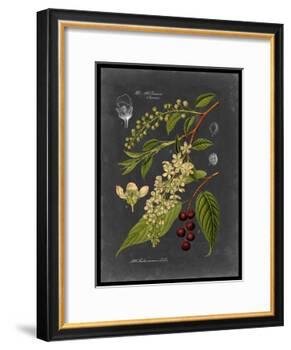 Midnight Botanical II-Vision Studio-Framed Art Print
