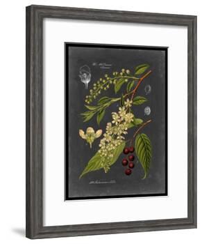 Midnight Botanical II-Vision Studio-Framed Art Print