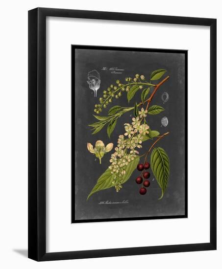 Midnight Botanical II-Vision Studio-Framed Art Print