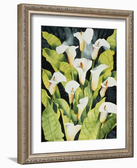 Midnight Callalilies-Mary Russel-Framed Giclee Print