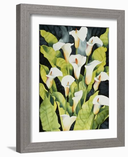 Midnight Callalilies-Mary Russel-Framed Giclee Print