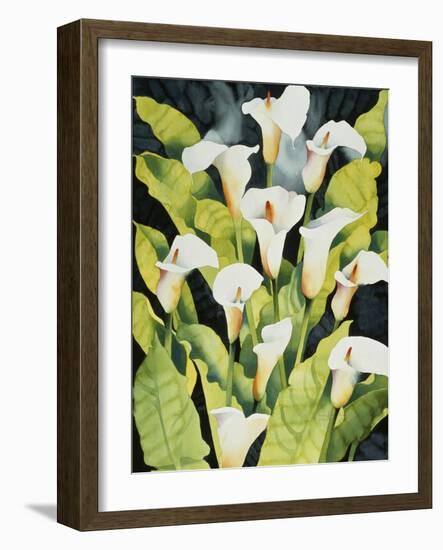 Midnight Callalilies-Mary Russel-Framed Giclee Print