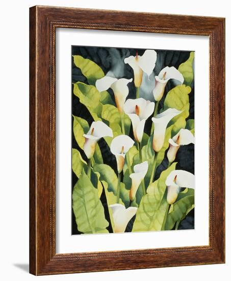 Midnight Callalilies-Mary Russel-Framed Giclee Print