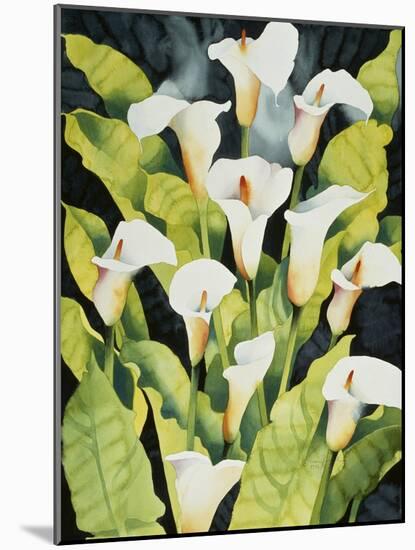 Midnight Callalilies-Mary Russel-Mounted Giclee Print