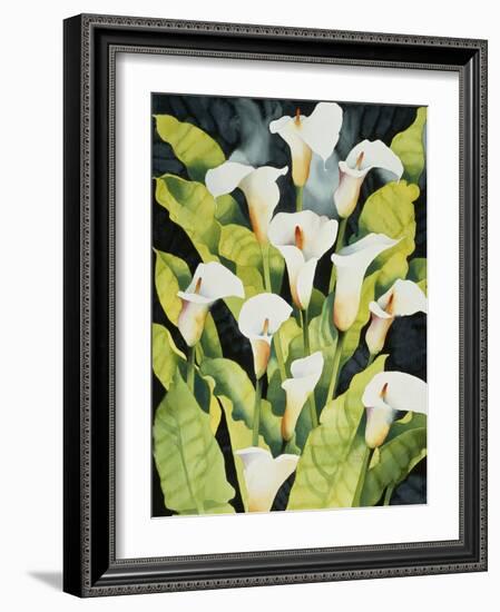 Midnight Callalilies-Mary Russel-Framed Giclee Print