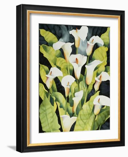 Midnight Callalilies-Mary Russel-Framed Giclee Print