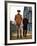 Midnight Cowboy, Jon Voight, Dustin Hoffman, 1969-null-Framed Photo