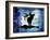 Midnight Elk-LightBoxJournal-Framed Giclee Print