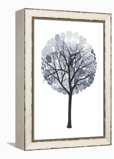 Midnight Elm I-Grace Popp-Framed Stretched Canvas