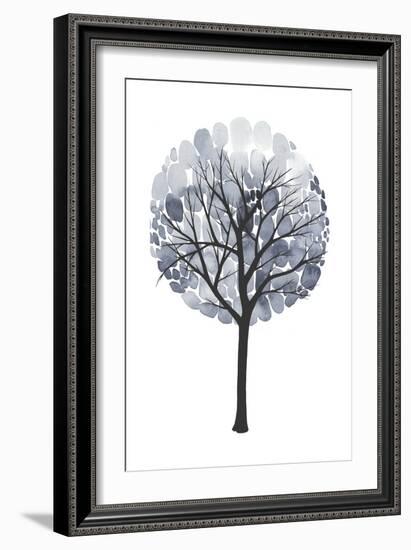 Midnight Elm I-Grace Popp-Framed Art Print