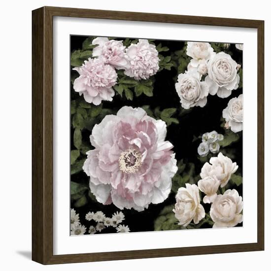 Midnight Florals-Alan Lambert-Framed Giclee Print