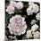 Midnight Florals-Alan Lambert-Mounted Giclee Print