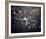 Midnight Garden II-Irene Suchocki-Framed Giclee Print