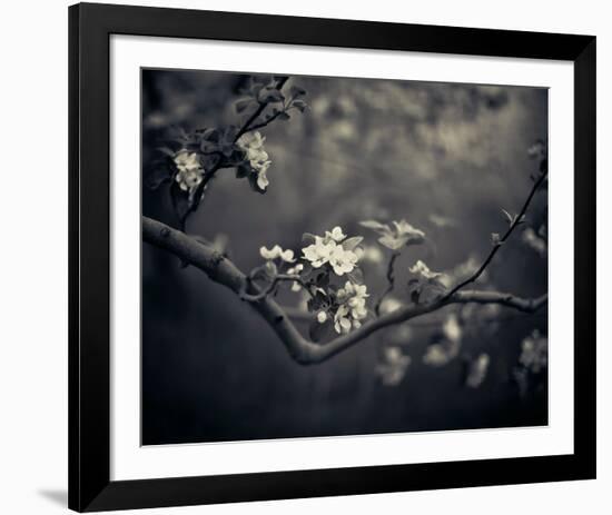 Midnight Garden II-Irene Suchocki-Framed Giclee Print