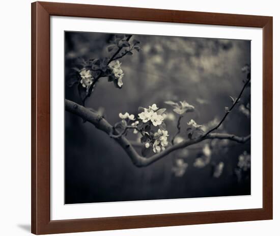 Midnight Garden II-Irene Suchocki-Framed Giclee Print