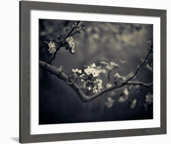 Midnight Garden II-Irene Suchocki-Framed Giclee Print