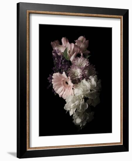 Midnight Gerbera-Julie Greenwood-Framed Art Print