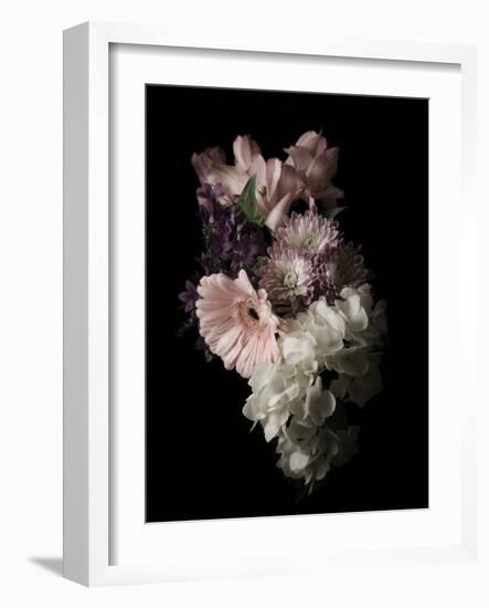 Midnight Gerbera-Julie Greenwood-Framed Art Print