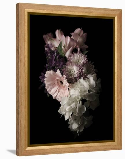 Midnight Gerbera-Julie Greenwood-Framed Stretched Canvas