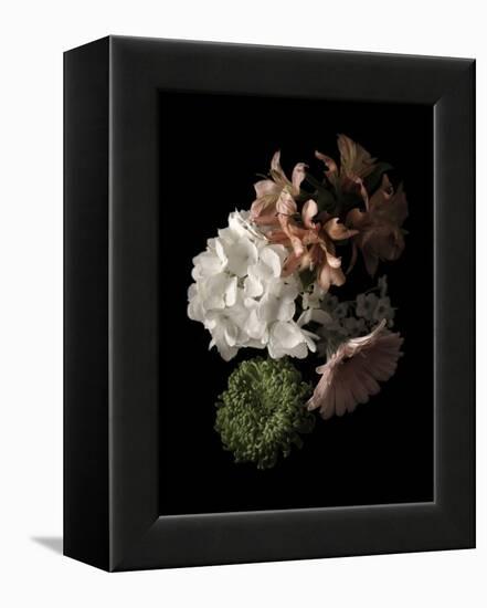 Midnight Hydrangea-Julie Greenwood-Framed Stretched Canvas