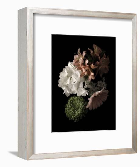 Midnight Hydrangea-Julie Greenwood-Framed Art Print