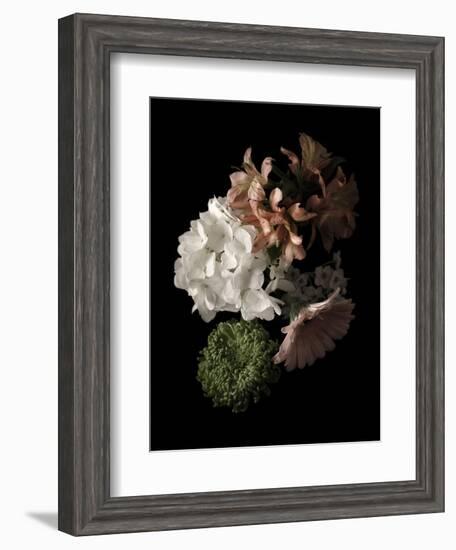 Midnight Hydrangea-Julie Greenwood-Framed Art Print