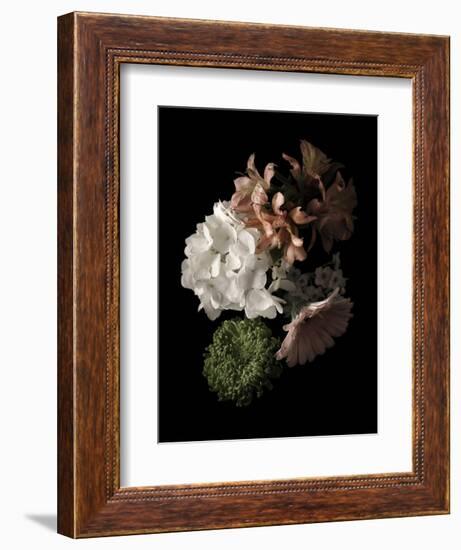 Midnight Hydrangea-Julie Greenwood-Framed Art Print